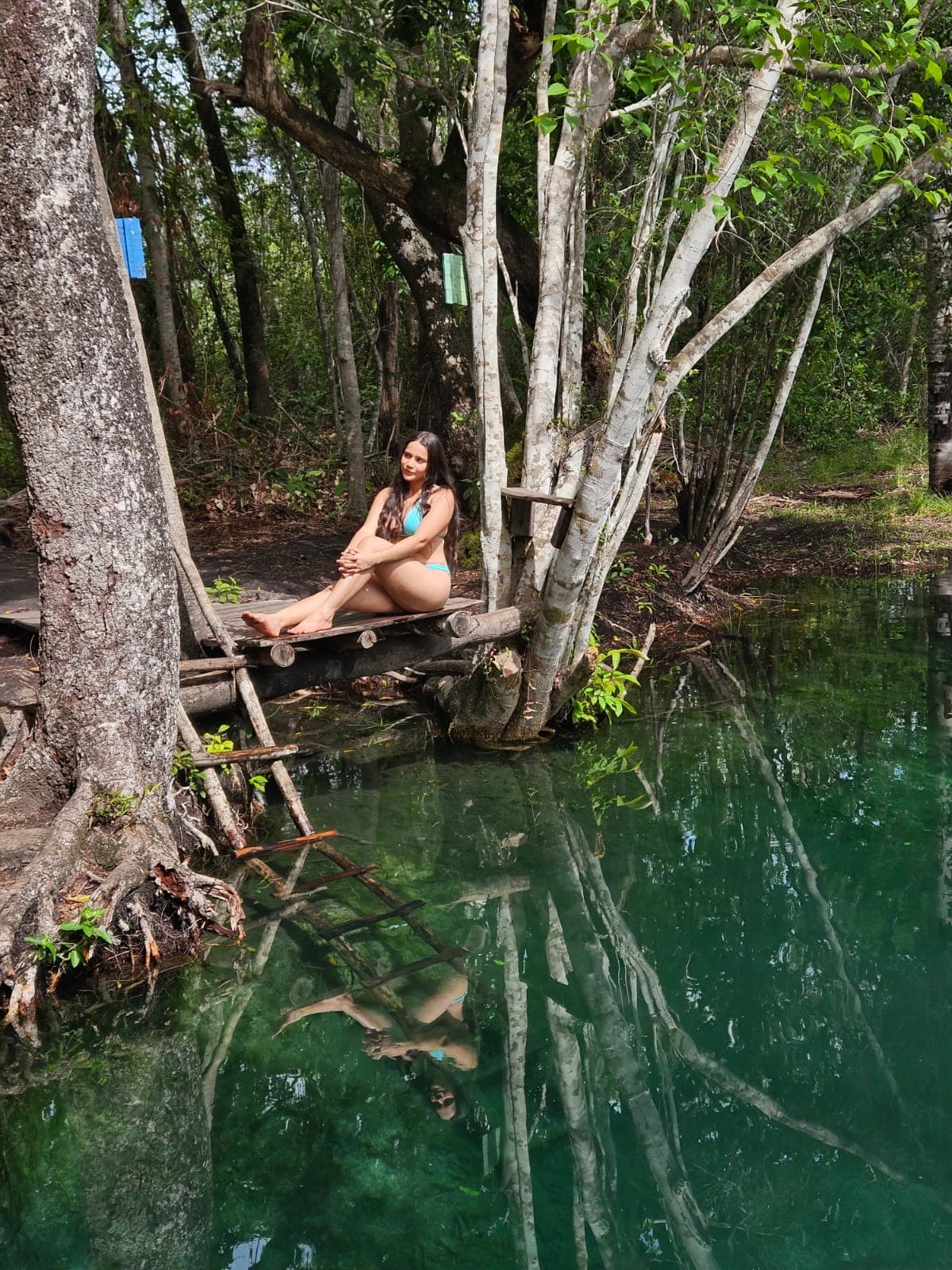 descansando sobre o tronco à beira d’água