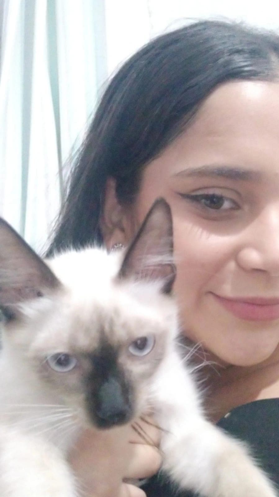 selfie com o gatinho siamês no colo